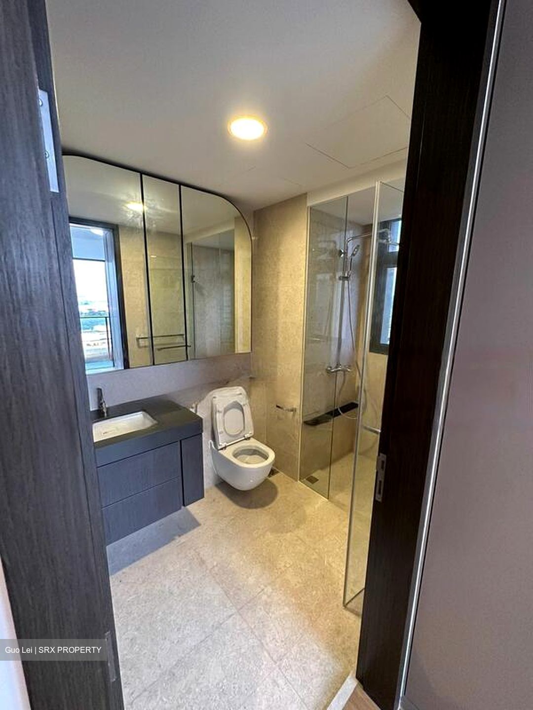 Avenue South Residence (D3), Apartment #553666771